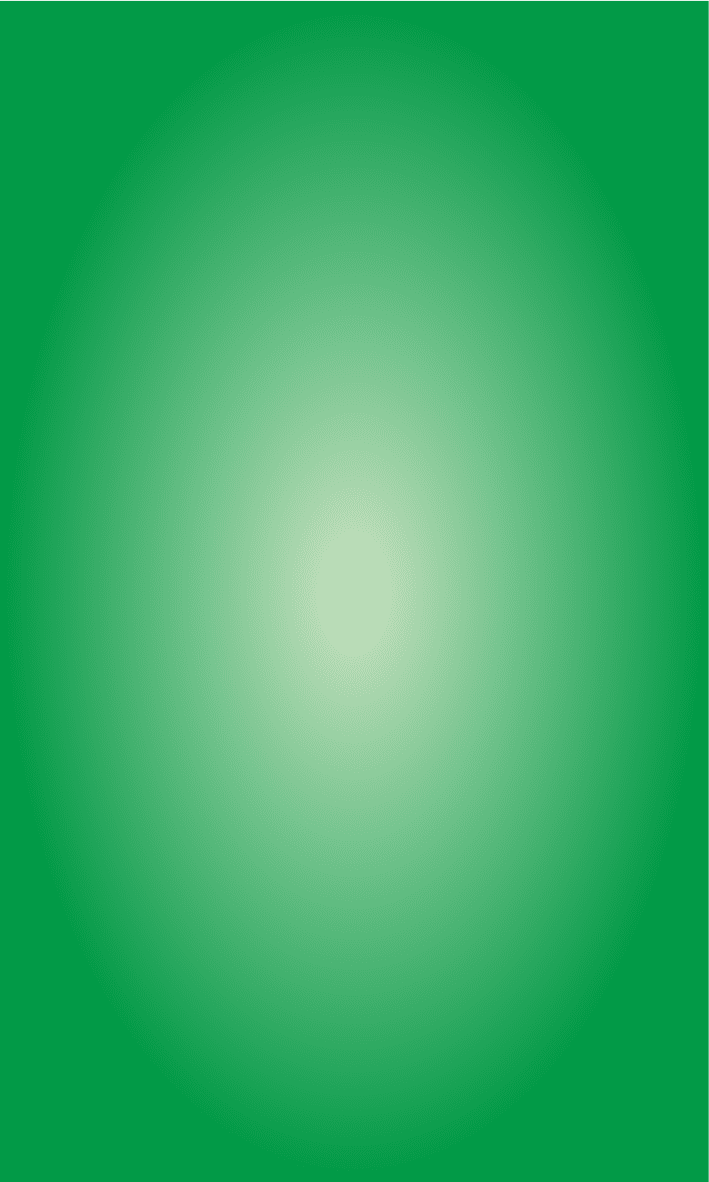 görselşema4
